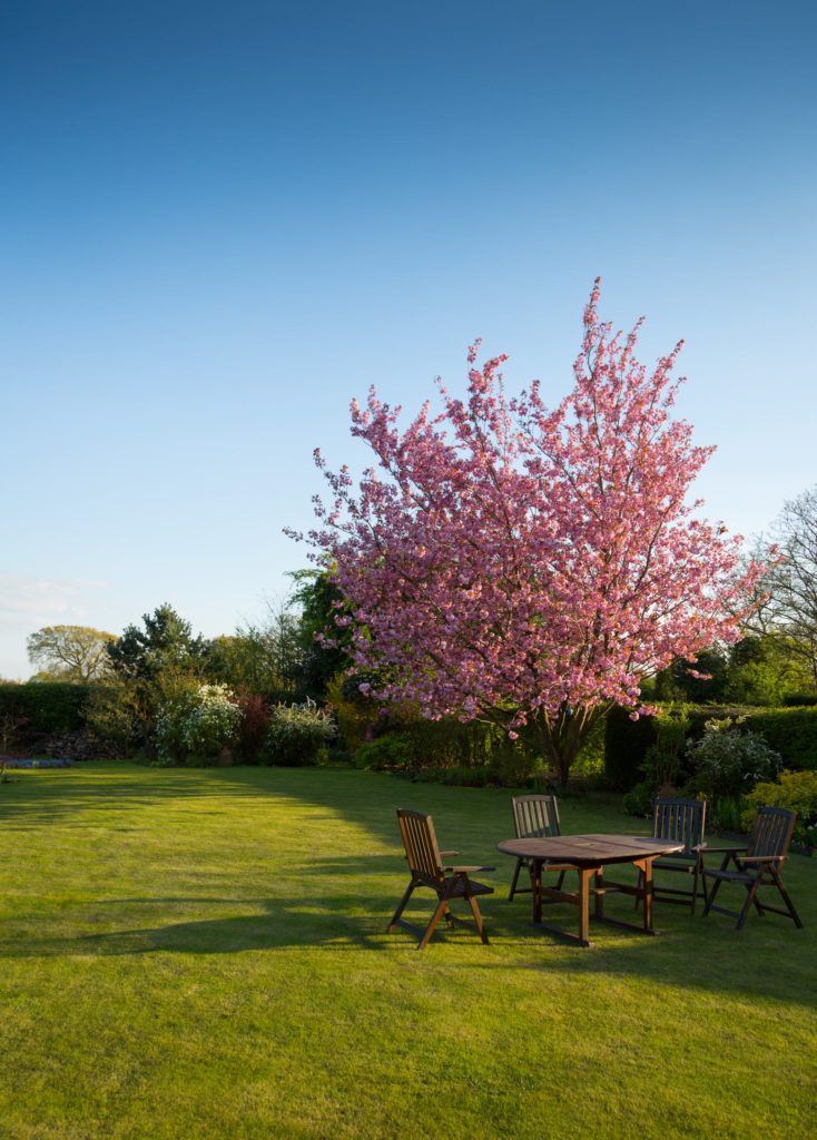 A neatly cut green lawn